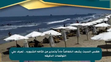 طقس السبت يشهد انخفاضاً حاداً وتحذير من كثافة الشبورة.. تعرف على التوقعات الدقيقة